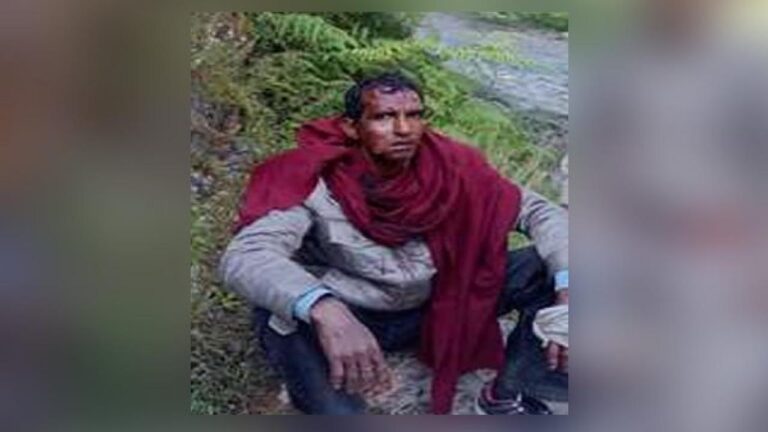 मंडी: युवक पर जंगली भालू ने बोला धावा,किया लहूलुहान