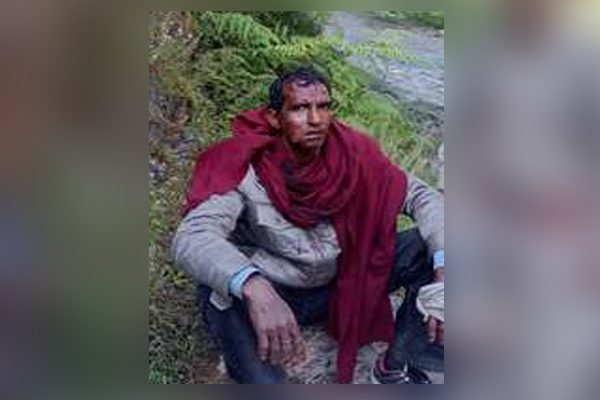 मंडी: युवक पर जंगली भालू ने बोला धावा,किया लहूलुहान