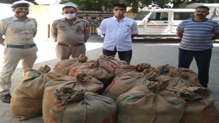 तीन क्विंटल 63 किलोग्राम चुरा पोस्त बरामद
