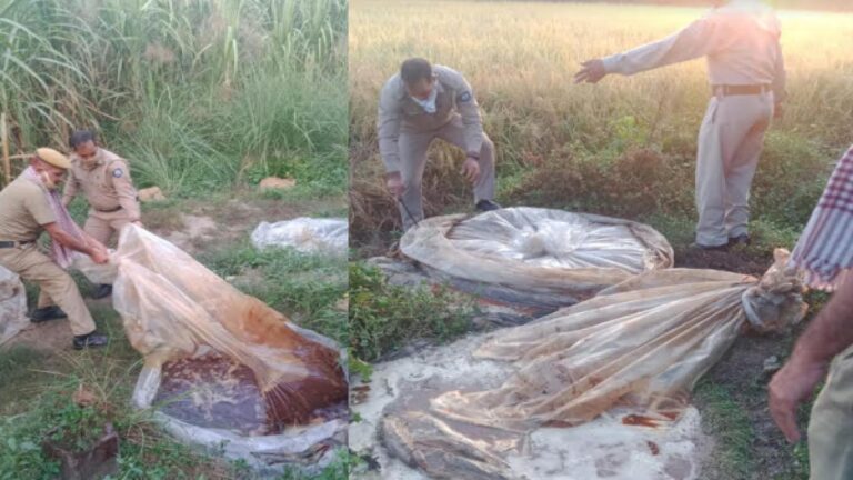 इन्दौरा पुलिस ने अवैध शराब कारोबारियों पर कसा शिकंजा, एक आरोपी गिरफ्तार