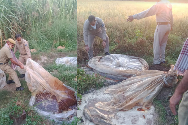 рдЗрдиреНрджреМрд░рд╛ рдкреБрд▓рд┐рд╕ рдиреЗ рдЕрд╡реИрдз рд╢рд░рд╛рдм рдХрд╛рд░реЛрдмрд╛рд░рд┐рдпреЛрдВ рдкрд░ рдХрд╕рд╛ рд╢рд┐рдХрдВрдЬрд╛, рдПрдХ рдЖрд░реЛрдкреА рдЧрд┐рд░рдлреНрддрд╛рд░