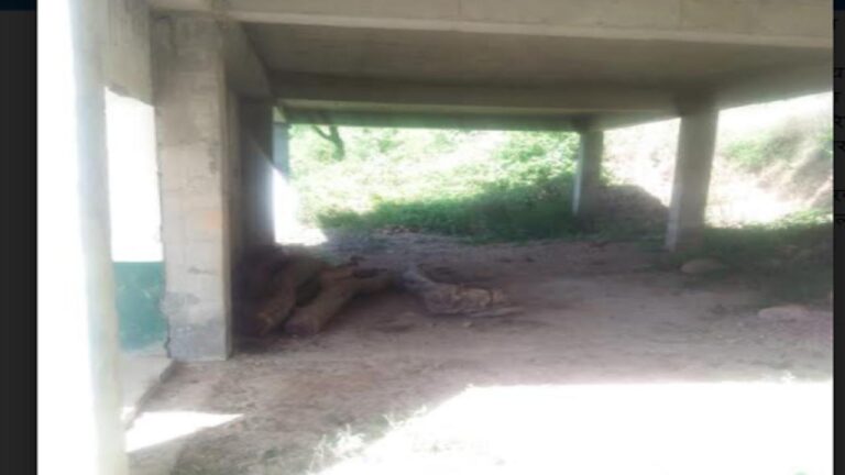 सूरजपुर उच्च पाठशाला में भवन खस्ताहाल