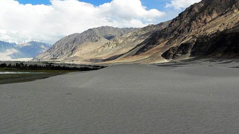 सुरक्षाबलों ने लद्दाख में पकड़ा चीनी सैनिक