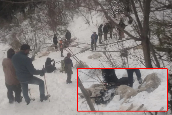 कुल्लू: मणिकर्ण के शिलानाला में 280 भेड़ बकरियों की ग्लेशियर में दबने से मौत