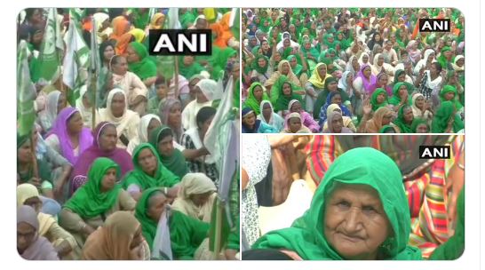 #InternationalWomensDay #FarmersProtest