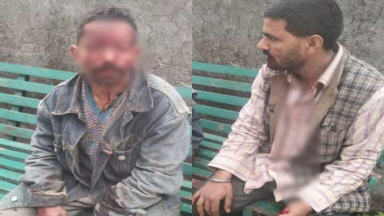 भालू ने भेड़पालकों पर किया हमला, दो गंभीर रूप से घायल