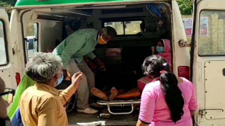 धार्मिक यात्रा पर आए श्रद्धालुओं पर मधुमक्खियों ने किया हमला, 12 घायल,