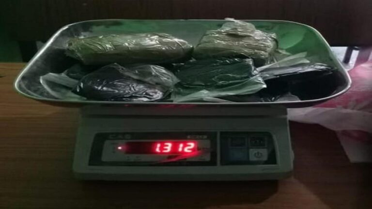 कुल्लू 1 किलो 312 ग्राम चरस के साथ महिला गिरफ्तार