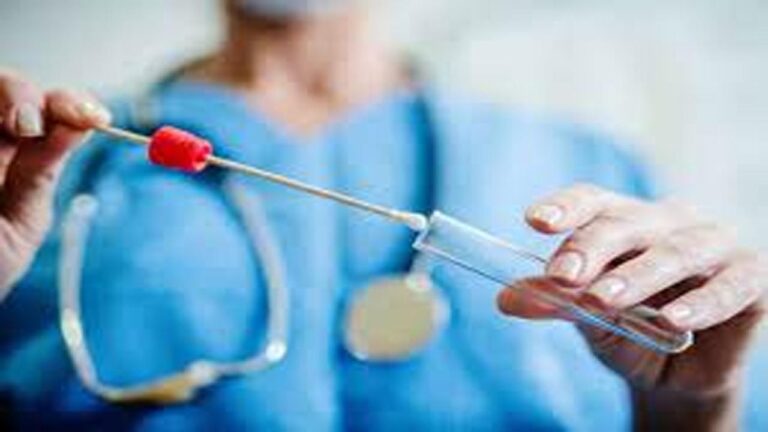 स्पीति में प्रवेश करने वाले कामगारों को दिखाना होगा RTPCR नेगेटिव रिपोर्ट : एडीएम लाहौलस्पीति