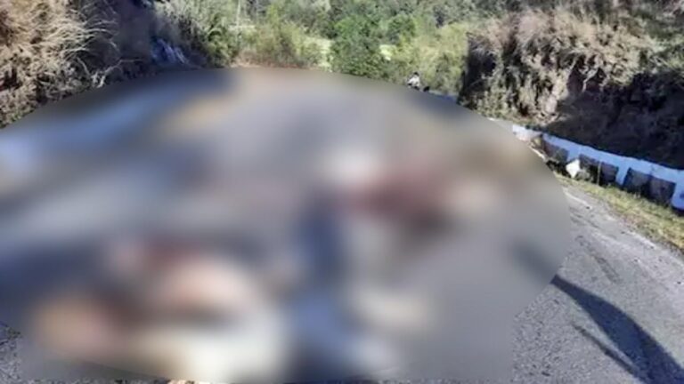 तेज रफ्तार ट्रक ने पहले ट्रैवलर को टक्कर मारी, फिर 52 भेड़-बकरियों को रौंदा, 32 की मौत