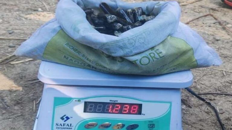 कुल्लू :पुलिस ने 1.238 किलोग्राम चरस की खेप सहित एक युवक किया गिरफ्तार