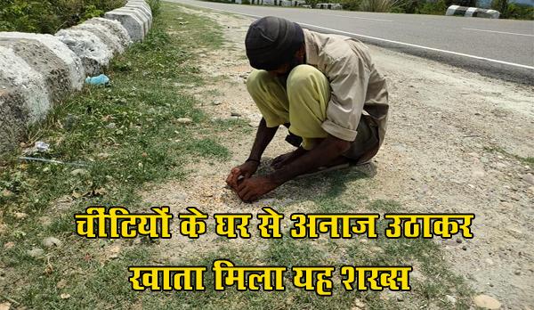 चींटियों के घर से अनाज उठाकर खाता मिला यह शख्स