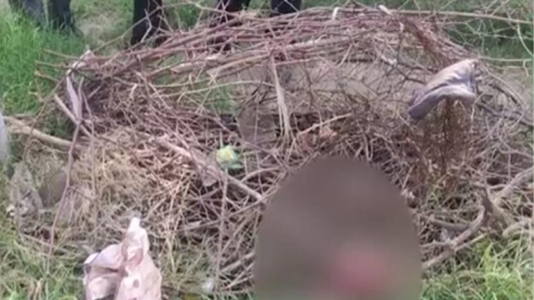 सिरमौर शिमला के बाद अब बद्दी में शर्मसार हुई ममता,बद्दी अस्पताल के पास झाड़ियों में मिला मिला नवजात