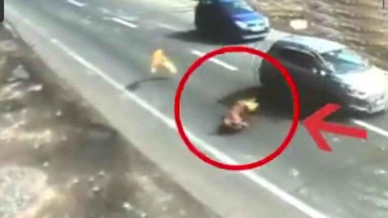 बद्दी के किशनपुरा में दर्दनाक सड़क हादसे में घायल महिला की पीजीआई चंडीगढ़ में इलाज के दौरान मौत