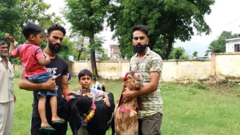 बिलासपुर में ईद-उल-अजहा पर्व की तैयारियां जोरों पर, एक लाख रुपये में बिके 'नवाब व अब्दुल'