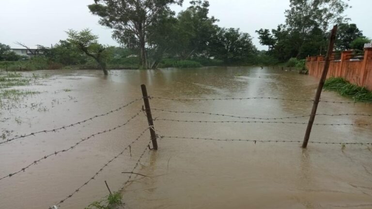 इंदौरा पंचायत के वार्ड दो में बहने वाले सूजला नाले ने मचाया कोहराम