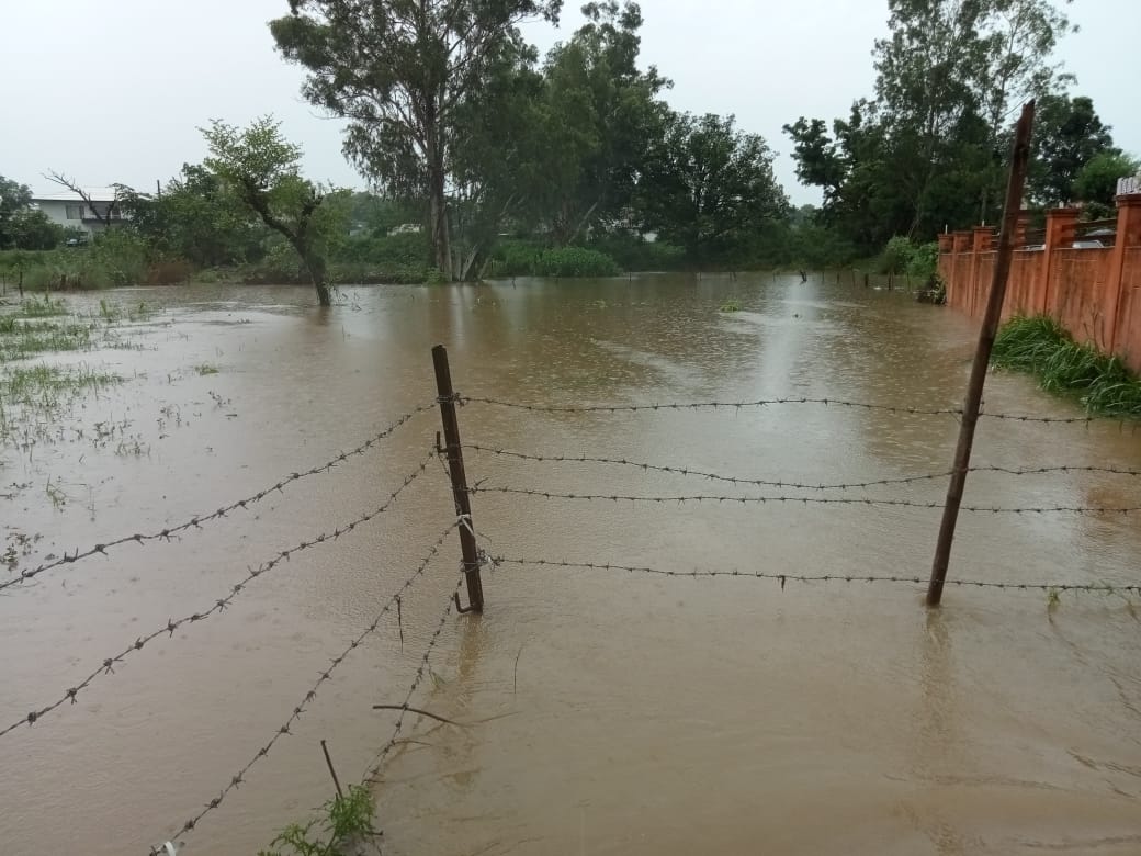 इंदौरा पंचायत के वार्ड दो में बहने वाले सूजला नाले ने मचाया कोहराम