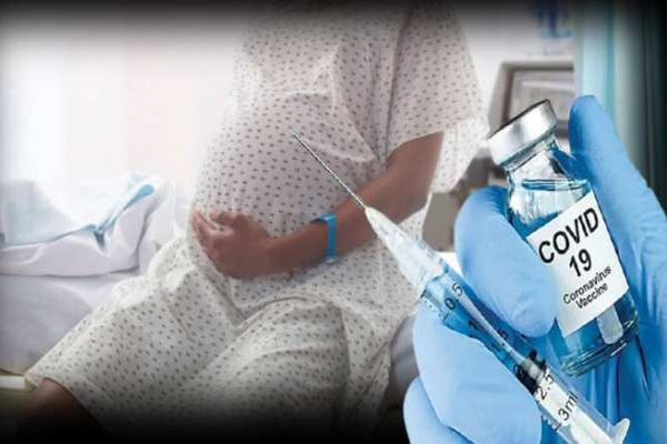 बड़ी ख़बर: अब गर्भवती महिलाएं भी लगवा सकती हैं कोरोना वैक्सीन, स्वास्थ्य मंत्रालय ने दी मंजूरी