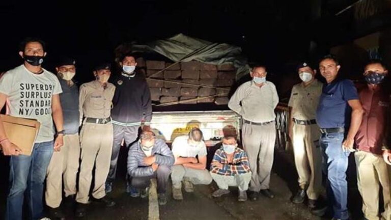 वन विभाग ने देर रात पकड़ी देवदार से लदी पिकअप