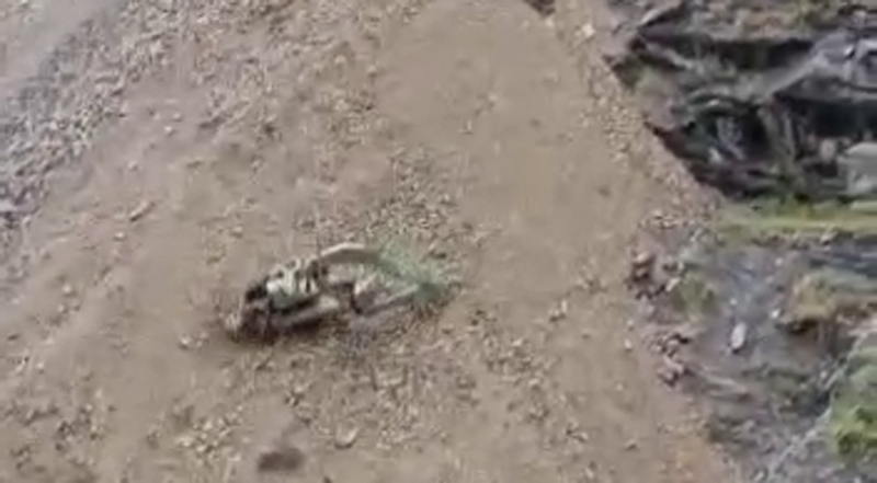 भारी बारिश से भू-स्खलन की जद में आई पोकलेन मशीन, रावी नदी में समाई