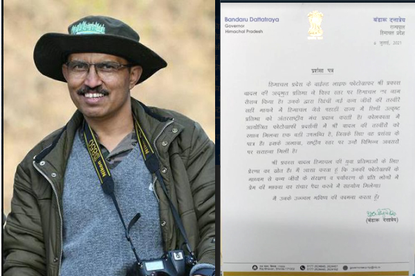 प्रदेश के वाईल्ड लाईफ फोटोग्राफर प्रकाश बादल को पूर्व राज्यपाल दत्तात्रेय ने लिखा प्रशंसा पत्र