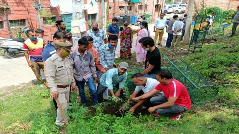 0e150d9c D04f 4a7b 89b8 Dde81aa048cd