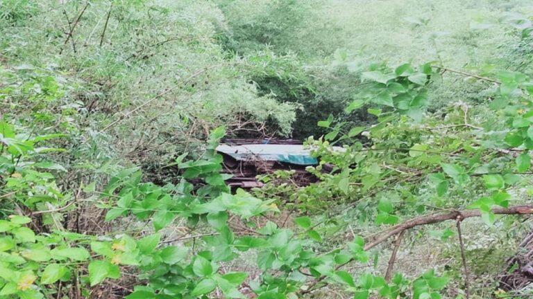 ब्रेकिंग न्यूज़ हरिपुर पट्टा सड़क पर ठेड़पुरा के पास खाई में गिरी HRTC बस, सभी यात्री सुरक्षित