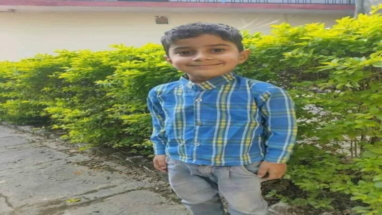 घुमारवीं: सांप के काटने पांच वर्षीय रितिक की मौत, परिवार पर टूटा गमों का पहाड़