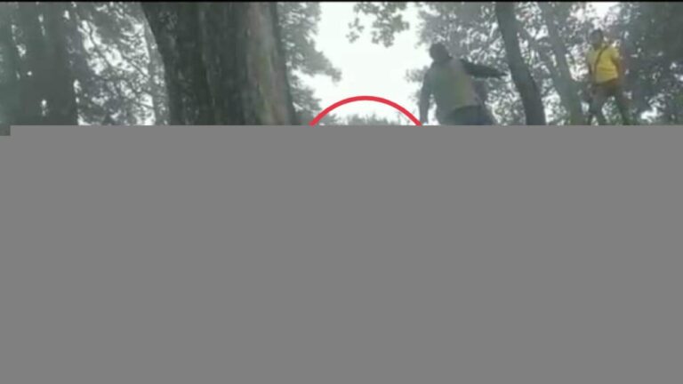 सलूणी: आसमानी बिजली का कहर, तीन भेड़पालकों की डेढ़ दर्जन भेड़-बकरियों की मौत