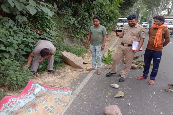 हमीरपुर: अनियंत्रित ट्रक चालक ने तूड़ी को इकट्ठा कर रही महिला को कुचला, मौके पर ही मौत