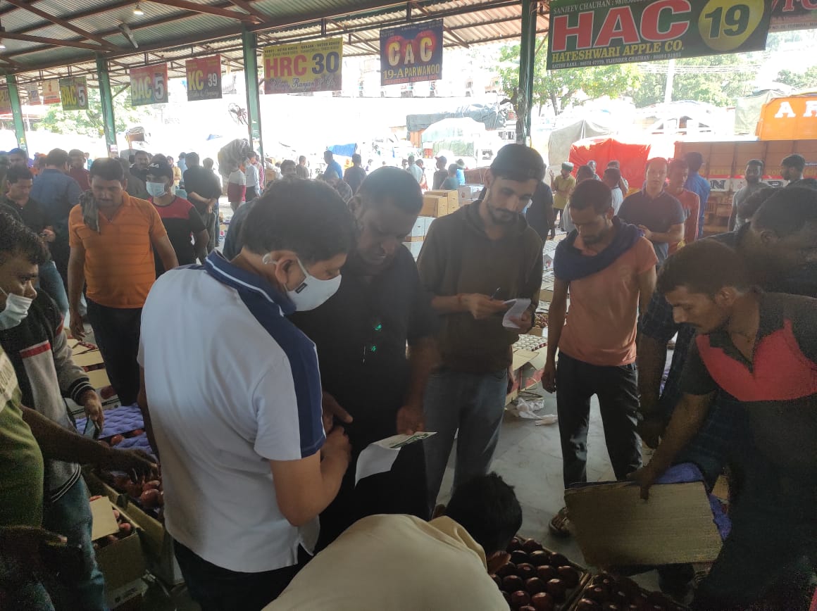 नहीं रुक रहा बागवानों को लूटने का सिलसिला - रुमाल के नीचे हो रही बोलियां