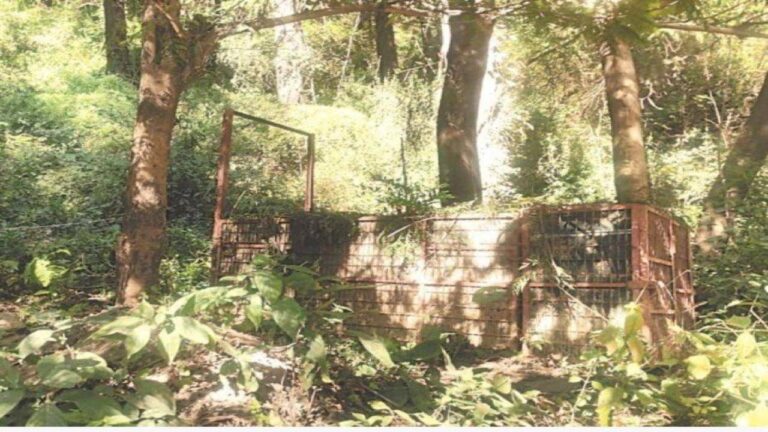 Screenshot 2021 11 12 22 33 07 97 A23b203fd3aafc6dcb84e438dda678b6