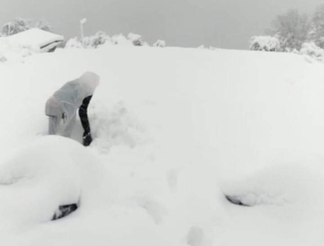 धर्मशाला में बर्फ में फंसे चार युवकों में से दो की हुई मौत