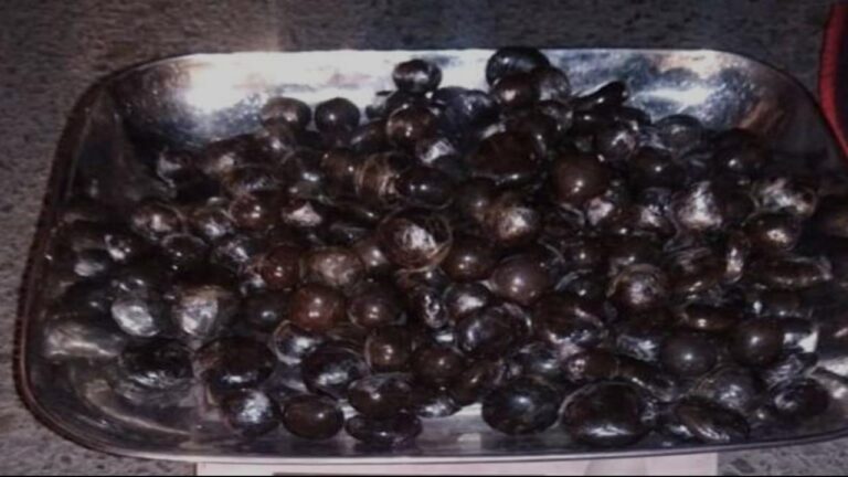 कुल्लू: कार सवार दो लोगों 5 किलो 161 ग्राम चरस बरामद