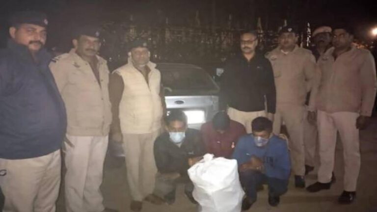 चंदन की तस्करी में हिमाचल का पुष्पराज दो साथियों सहित गिरफ्तार, 39 किलोग्राम सफेद चंदन भी बरामद