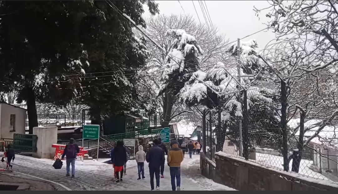 सोलन, चायल व कसौली में बर्फबारी,चहके सैलानी
