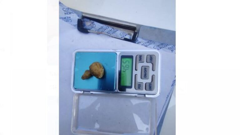 धर्मपुर: पुलिस की टीम ने 5 युवकों से 4.65 व 3.91 ग्राम हैरोईन की बरामद