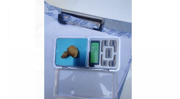 धर्मपुर: पुलिस की टीम ने 5 युवकों से 4.65 व 3.91 ग्राम हैरोईन की बरामद