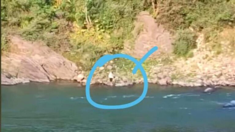 देखिए वीडियो: मंडी में डंडे के वार से नदी में गिरा शख्स, हुई मौत