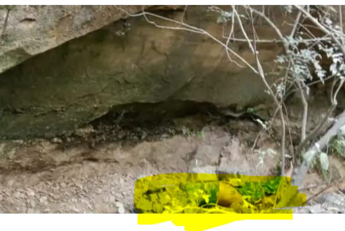 कालाअंब में 11 दिन से लापता 19 वर्षीय युवती की पत्थरों के नीचे मिली लाश, फैली सनसनी