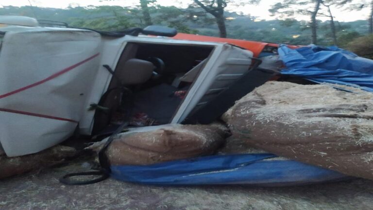 सोलन जिला के धर्मपुर क्षेत्र में में एक दर्दनाक सड़क हादसा पेश आया है इस हादसे में 2 लोग गंभीर रूप से घायल हो गए हैं। यह हादसा धर्मपुर से आंजी की तरफ जाने वाली सड़क पर पेश आया है। मिली जानकारी मुताबिक एक पिकअप नंबर एचपी64बी 7391 का चालक अपनी गाड़ी में तूड़ी भरकर आंजी को जाने वाले रोड पर जा रहा था कि अचानक सड़क पर गाड़ी अनियंत्रित होकर पलट गई। इस हादसे में दो लोग गंभीर रूप से घायल हुए हैं घायलों की पहचान निर्मल व पम्मी स्थानीय निवासी के तौर पर हुई है। बताया जा रहा है कि इस हादसे में दोनों ही युवकों को गंभीर चोटें आई हैं। इस सड़क पर जल्द ही मैटलिंग का काम शुरू होना है। इसलिए इस सड़क पर पुलिया और गटका डालने का काम जारी है जिसकी वजह से यह सड़क तंग हो चुकी है। जिस जगाया हादसा हुआ है उस जगह सड़क पर मिट्टी गिराई गई थी। जिस वजह से गाड़ी निकलने के लिए रास्ता कौन बचता है। जिस वजह से लोड गाड़ी झोल खाने से इस जगह पर पलट गई और जिससे यह हादसा हुआ इस हादसे के लिए संबंधित ठेकेदार की लापरवाही जिम्मेदार है। क्योंकि सड़क पर इस तरह से मिट्टी गिराना किसी हादसे को न्योता देना है।