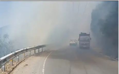 शिमला: फायल के घने जंगल में लगी भीषण आग, आसपास क्षेत्रों के लोग डरे