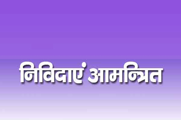 निविदाएं