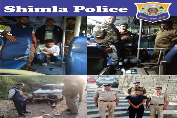 शिमला: NDPS एक्ट के 7 मामलों में 9 लोगों को गिरफ्तार, 52.68 ग्राम चिट्टा और 807 ग्राम चरस बरामद