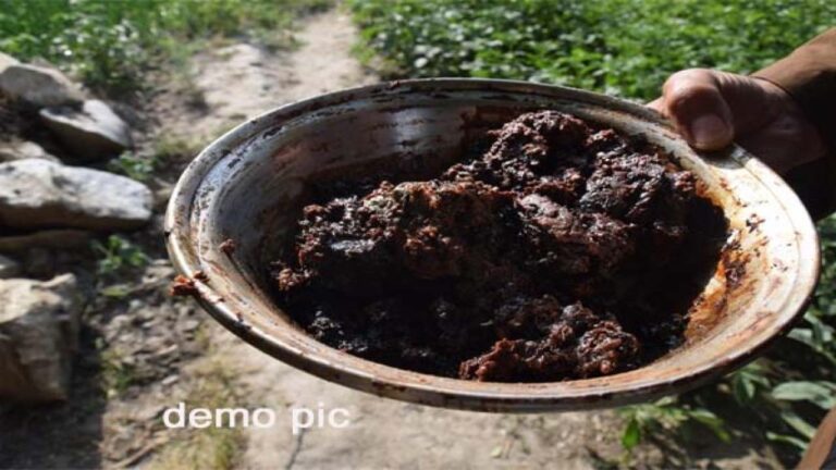 शिमला में 2 किलो अफीम बरामद, पैकेट फेंक भागे दोनों बाइक सवार