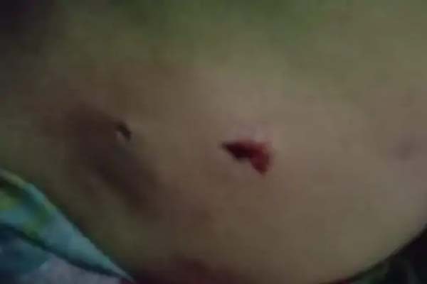 पांवटा साहिब के कोटा में तेंदुए ने किया महिला पर हमला