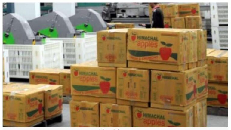 सेब बागवानों को पैकेजिंग मैटियरल पर GST में 6 प्रतिशत की छूट, कोटखाई में फिर भी सड़कों पर उतरेंगे बागवान