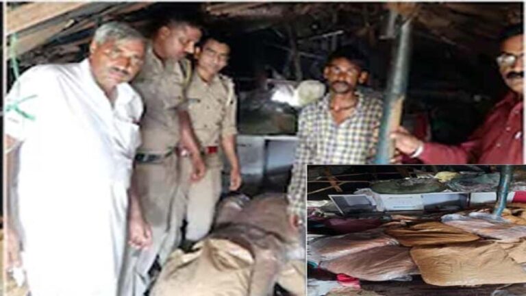 ऊना में 1 क्विंटल 36 किलो गांजे के साथ कबाड़ी गिरफ्तार