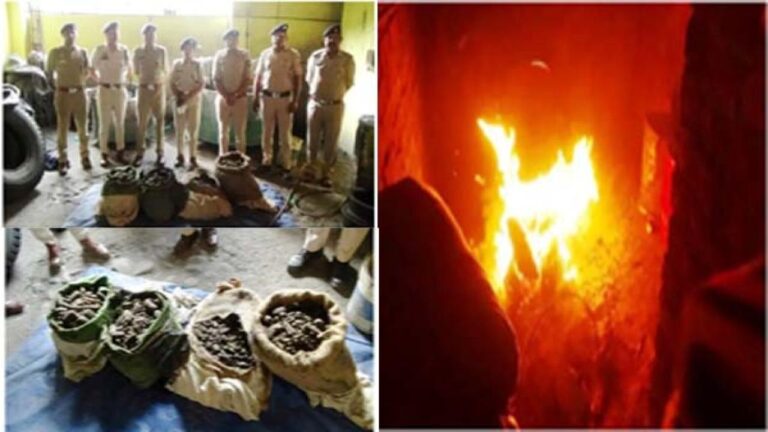 चंबा: पुलिस ने विभिन्न मामलों में पकड़ी गई 109.800 Kg चरस को जलाकर किया नष्ट