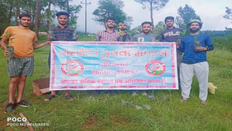 पर्यावरण संरक्षण के लिए जनहित युवक मंडल बड़ीधार ने किया पौधारोपण
